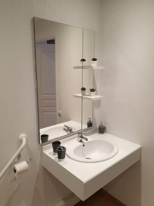 Agreable Villa En Petite Camargue 35 M2 Wifi 갈라르그-르-몽튜 외부 사진