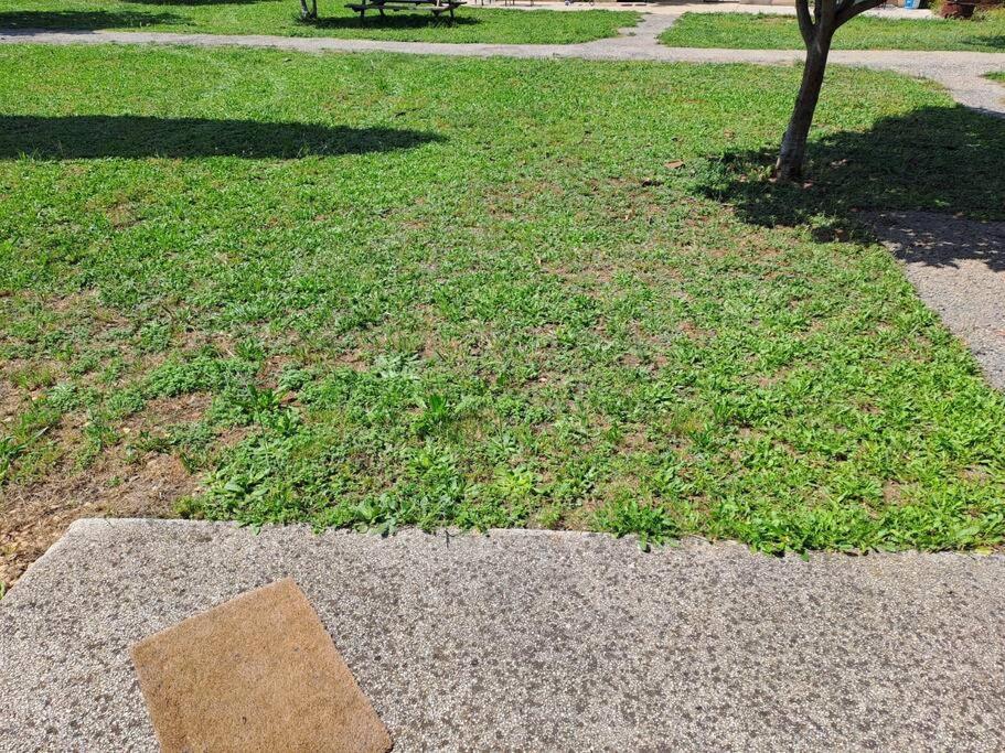 Agreable Villa En Petite Camargue 35 M2 Wifi 갈라르그-르-몽튜 외부 사진